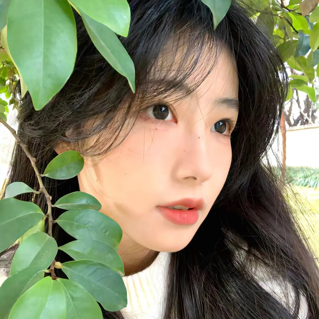 大内游龙