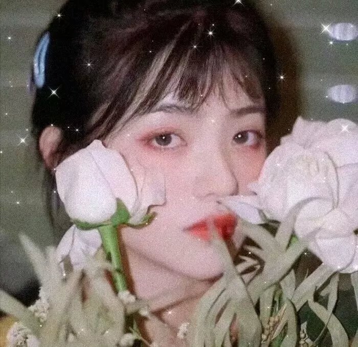 我的神使大人